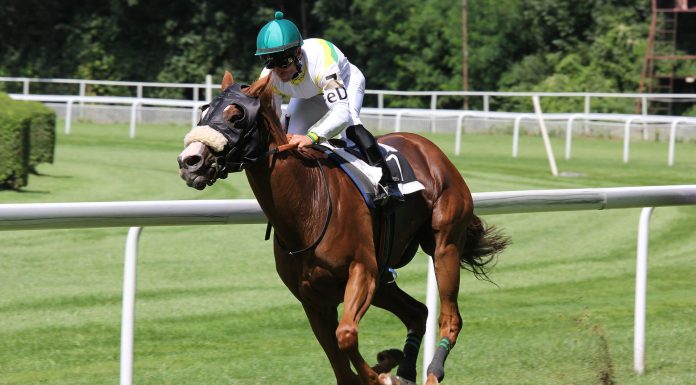 Lake effect: Bubble players fight for ticket to East Lake