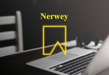 Nerwey: A New Digital Identity You Can Rank With nerwey digital concept branding idea