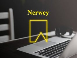 nerwey digital concept branding idea