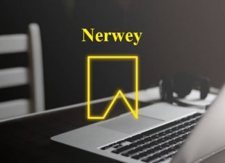 Nerwey: A New Digital Identity You Can Rank With nerwey digital concept branding idea