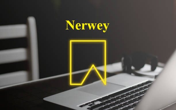 Nerwey: A New Digital Identity You Can Rank With nerwey digital concept branding idea